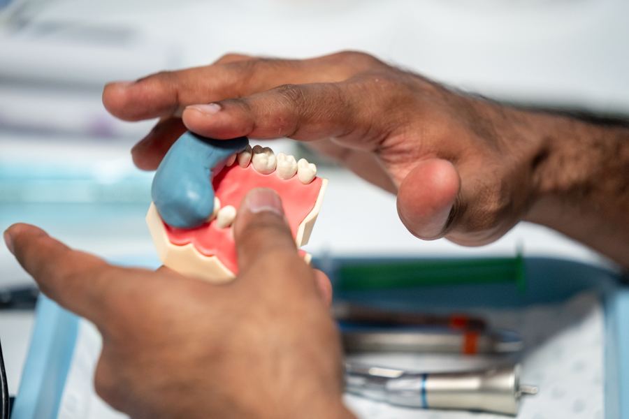 Close-up of dental model training